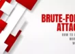 Brute Force Attacks: How to Protect Wordpress Websites and DNS Subdomains