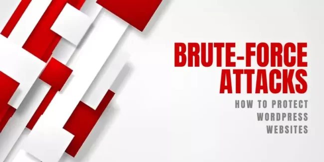 Brute Force Attacks: How to Protect Wordpress Websites and DNS Subdomains