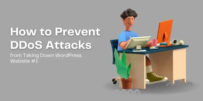 How to Prevent DDoS Attacks from Taking Down Your WordPress Website?